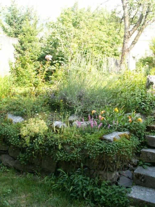 Magnifique Maison De Maitre Du 18E Avec Jardin Luz-Saint-Sauveur Bagian luar foto